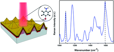 Figure demonstrating the surface-enhanced Raman spectroscopy substrate ad subsequent Raman spectra of 4-aminobenzenethiol.